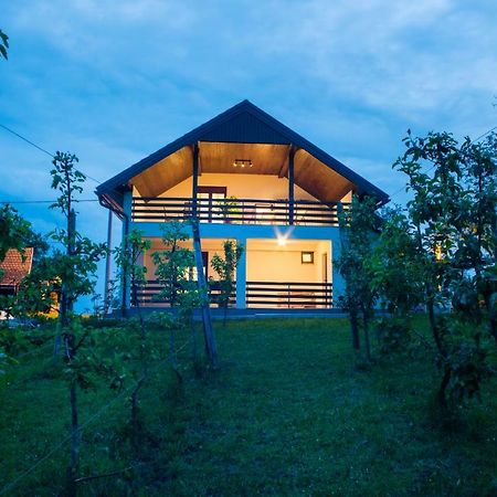 Holiday Home Dandelion With Hot Tub & Sauna Cetingrad 외부 사진