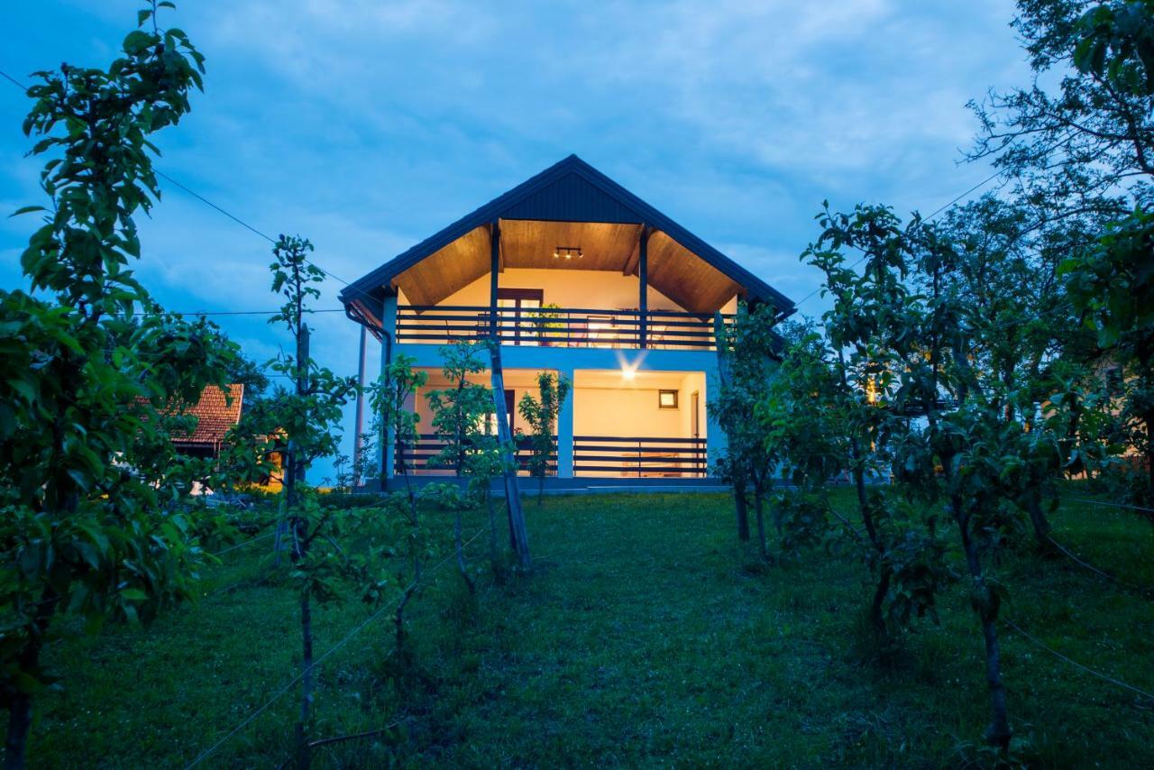Holiday Home Dandelion With Hot Tub & Sauna Cetingrad 외부 사진