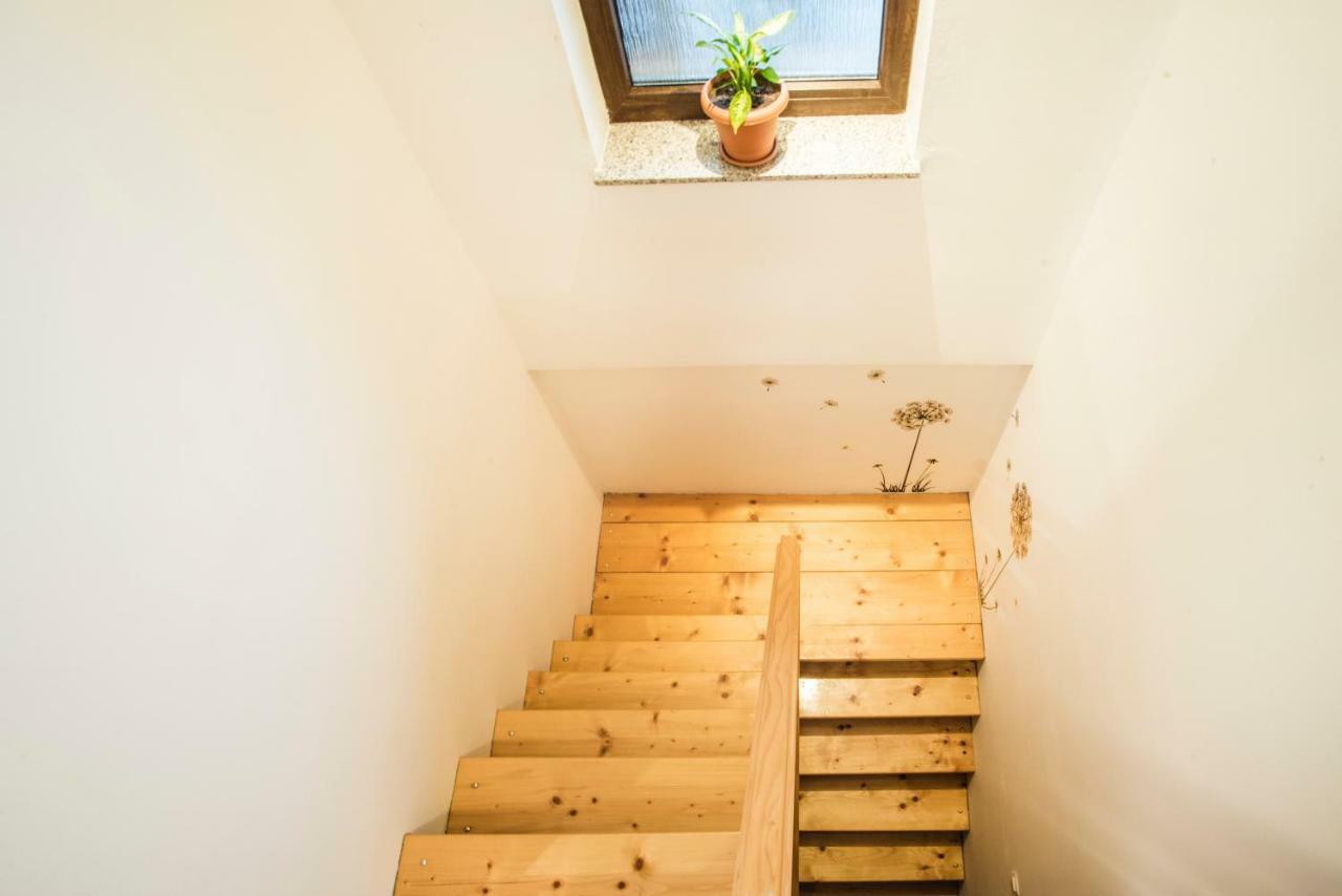 Holiday Home Dandelion With Hot Tub & Sauna Cetingrad 외부 사진